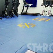 STARCO GYSPF6 健身室及室內運動地板工程