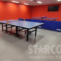 STARCO MAGMP6 動感康樂遊戲室 專屬設計服務
