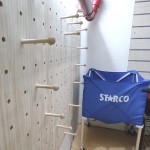 STARCO PERM23 體育室設計及翻新工程