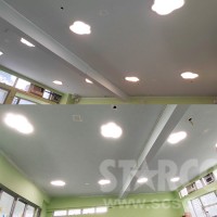 STARCO NDDEC4 機構工程服務 - 水,電,油漆,泥水