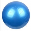 BAL55 瑜珈球