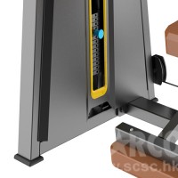 STARCO LE2620三頭下壓訓練器 (Seated Dip)
