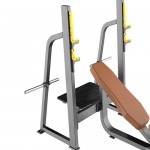 STARCO LE4220 上斜推胸訓練器 (Olympic Bench Incline)