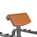 STARCO LE9620 雙位牧師椅 (Dual Function Preacher Curl)