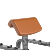 STARCO LE9620 雙位牧師椅 (Dual Function Preacher Curl)