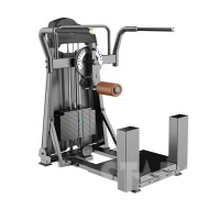 STARCO LE1120 擺腿訓練器 (Multi Hip machine)