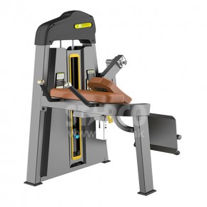STARCO LE2420後抬腿訓練器 (Glute Isolator)