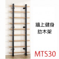 STARCO MTS30 牆上健身肋木架