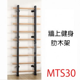 STARCO MTS30 牆上健身肋木架