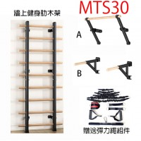 STARCO MTS30 牆上健身肋木架