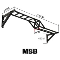 STARCO KDWR200 牆上感統懸吊訓練架 (Indoor Wall Mount  Sensory Training Monkey Bar)