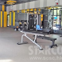 STARCO GH3720 商用級腰肌板訓練器 (Adjustable Decline Bench)