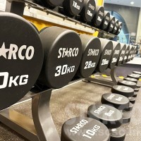 STARCO DBL22 12邊 包膠啞鈴