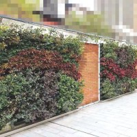PTRWL245 垂直種植/綠化工程