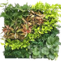 PTRWL245 垂直種植/綠化工程