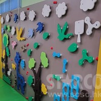 STARCO CLBW201室內兒童感統訓練木質攀爬牆 (Indoor Sensory Training Wooden Climbing Panel)