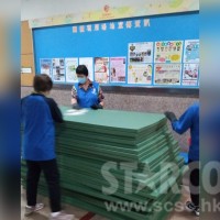 STARCO RUMAT230 柔道墊, 符合IJF標準, 技擊運動地墊