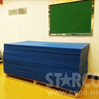 STARCO RUMAT230 柔道墊, 符合IJF標準, 技擊運動地墊