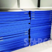 STARCO RUMAT230 柔道墊, 符合IJF標準, 技擊運動地墊