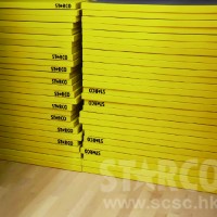STARCO RUMAT230 柔道墊, 符合IJF標準, 技擊運動地墊