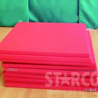 STARCO RUMAT230 柔道墊, 符合IJF標準, 技擊運動地墊