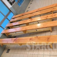 STARCO PE10801 平衡木長板凳-雙面用