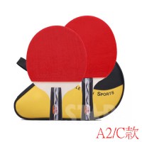 DOUBLE FISH DFTTS5 雙魚牌乒乓球套裝 DOUBLE FISH DFTTS5 雙魚牌乒乓球套裝