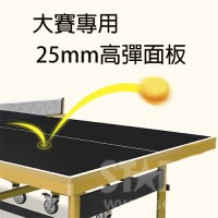 CGTT780 比賽級乒乓球檯 