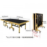 CGTT780 比賽級乒乓球檯 