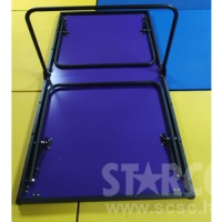 CTTT160 兒童乒乓球檯 (可摺合)