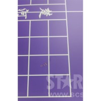 CTTT160 兒童乒乓球檯 (可摺合)