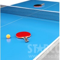 STARCO A2010 訓練比賽乒乓球檯 (可摺合移動)
