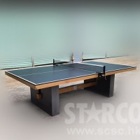 W8003  實木乒乓球檯