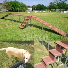 犬隻訓練設備工程