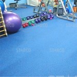 STARCO FLRMAT8 健身室地板及運動地墊工程 