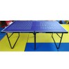 CTTT160 兒童乒乓球檯 (可摺合)